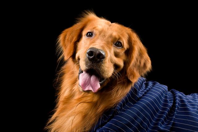 20221122182649_62501