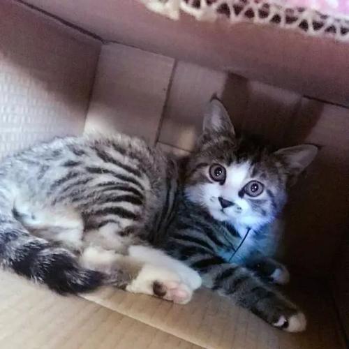 20221122185042_49756 20221122185042_49756