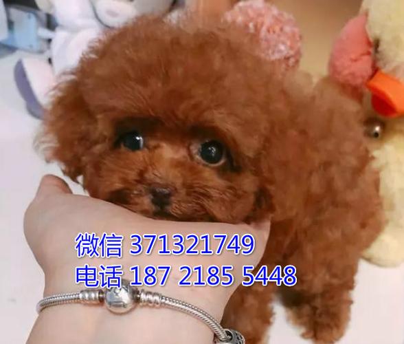 20221122185711_54514