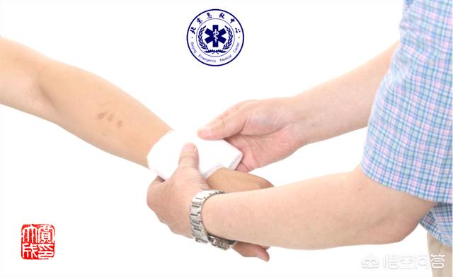 狗狗如何快速止血？如何快速止血鼻子 - 警犬训练器材厂家 _警犬训练用品_工作犬训练用品-南京开久警犬装备-警犬训练器材厂家 _警犬训练用品_工作犬训练用品-南京开久警犬装备