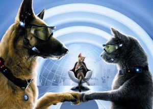 猫狗大战(猫狗大战文案)-警犬训练器材厂家 _警犬训练用品_工作犬训练用品-南京开久警犬装备