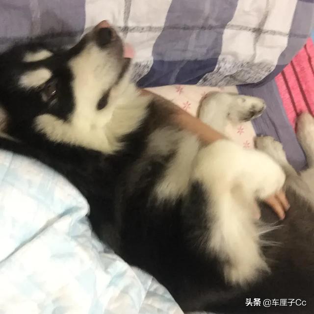 20221122200535_19507 20221122200535_19507