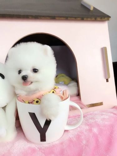 20221122201839_70211 20221122201839_70211