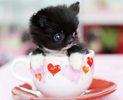 20221122201840_49806 20221122201840_49806