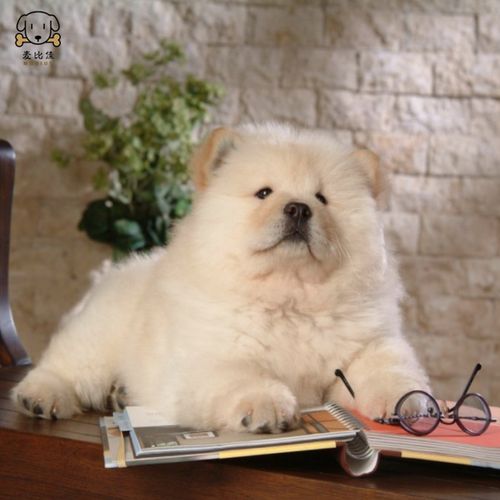 20221122202103_82991