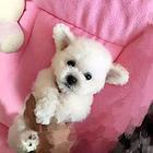 20221123083546_63666 20221123083546_63666