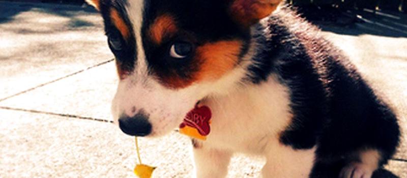 20221123090021_94077 20221123090021_94077