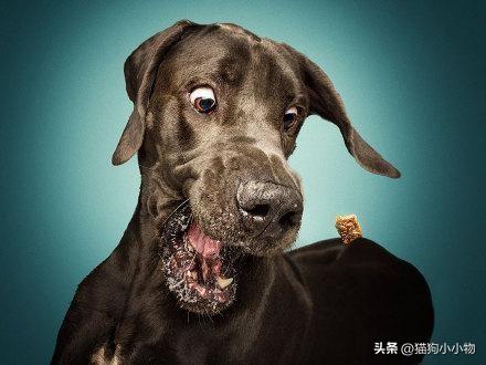 20221123094252_35257