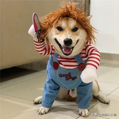 20221123094253_54237