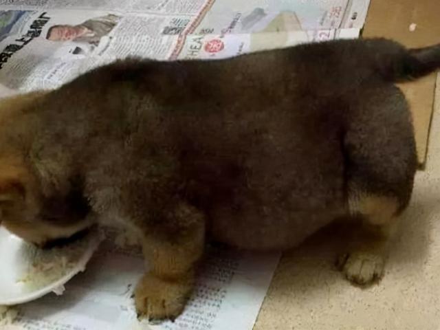 20221123095341_63294