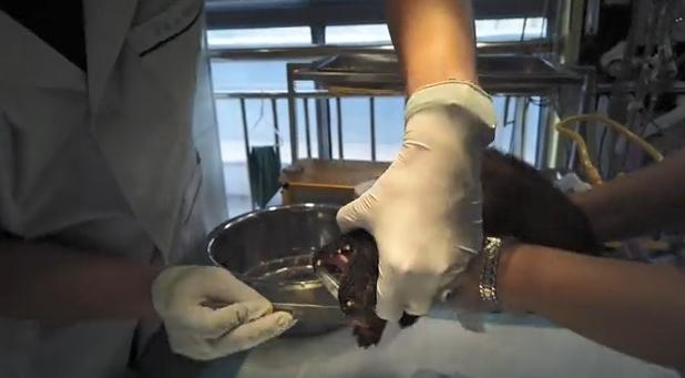 20221123100037_25552 20221123100037_25552