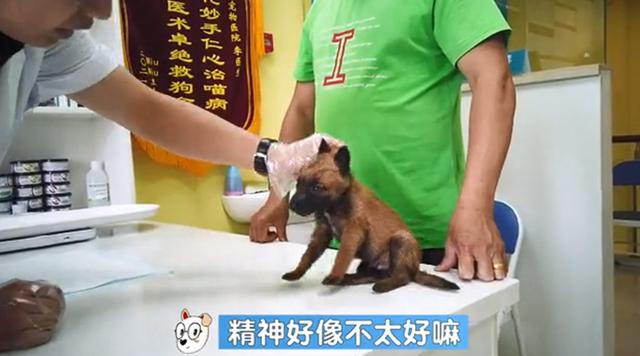 20221123100037_69836 20221123100037_69836