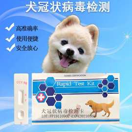 犬瘟热病(犬瘟热病毒在家能存活多久)-警犬训练器材厂家 _警犬训练用品_工作犬训练用品-南京开久警犬装备