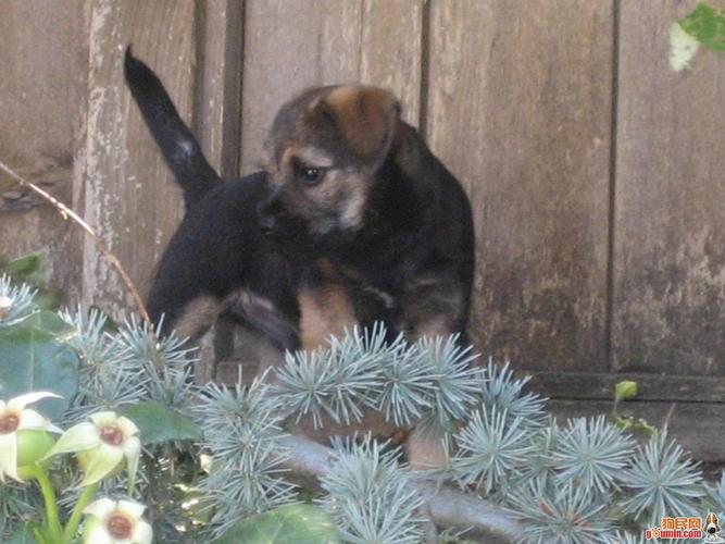 20221123112139_91002