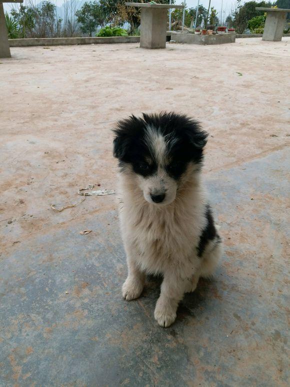 20221123112312_18630