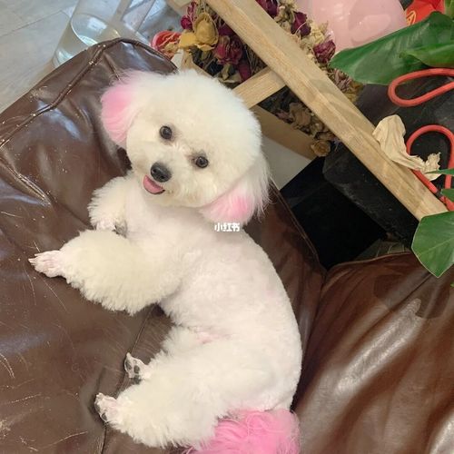 20221123113118_85649