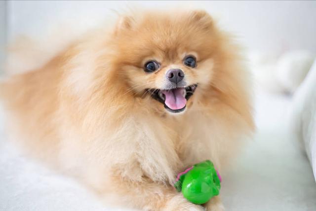 20221123113616_59293