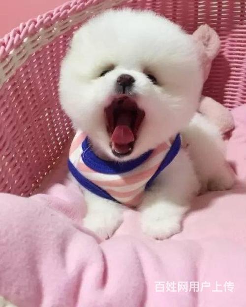 20221123113616_86500