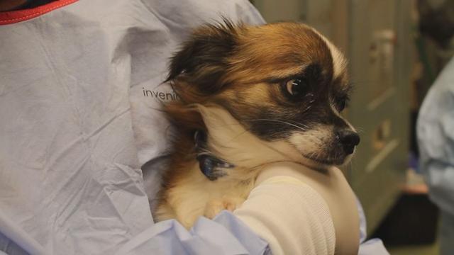 20221123114900_56578 20221123114900_56578