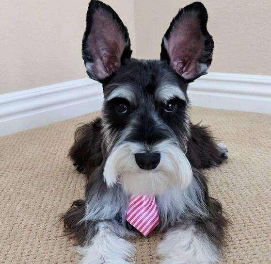 20221123115423_97507 20221123115423_97507