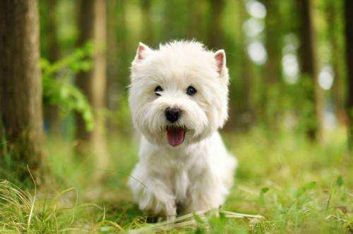 20221123115424_17550 20221123115424_17550