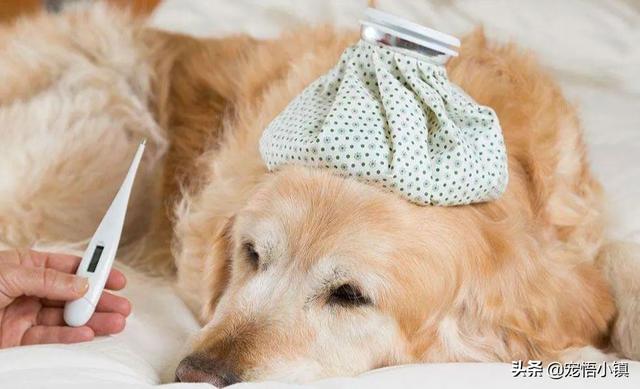 20221123115919_59417