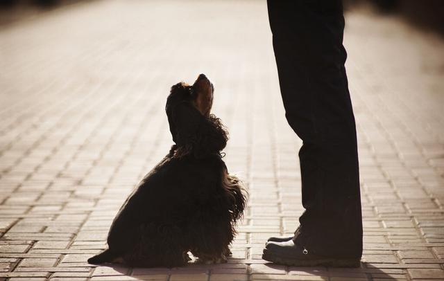 20221123120231_66398 20221123120231_66398