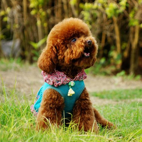 20221123120350_47607