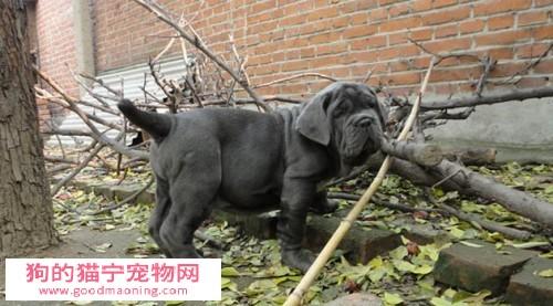 20221123132648_84628 20221123132648_84628