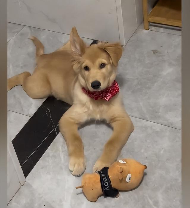 20221123132905_21884 20221123132905_21884