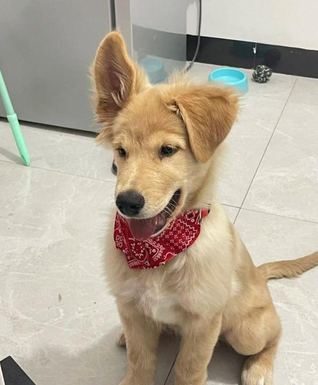 20221123132907_81917 20221123132907_81917