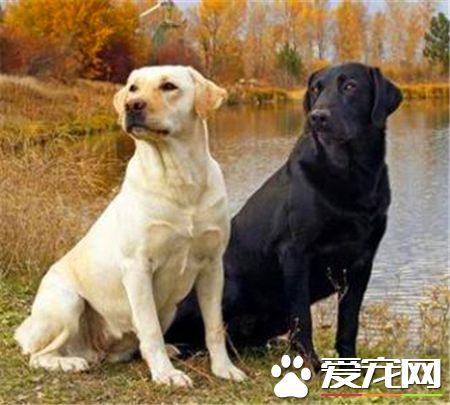 20221123133005_53342 20221123133005_53342