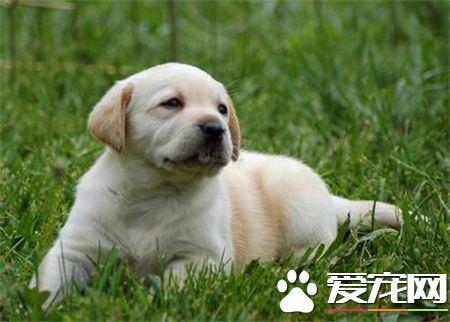 20221123133006_14913 20221123133006_14913