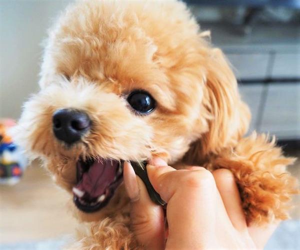 20221123134013_81486