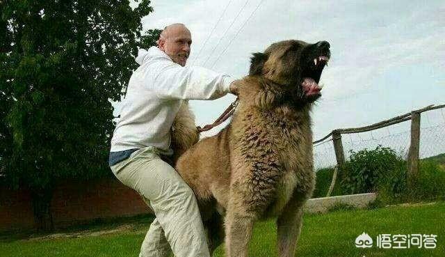 20221123135759_15477