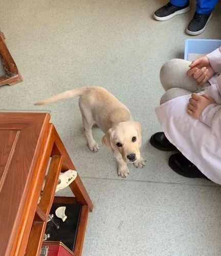 20221123140524_80389