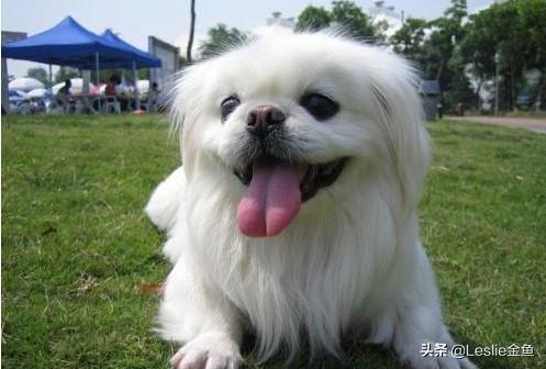 20221123141455_21035