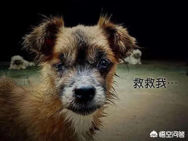 20221123161254_28895 20221123161254_28895