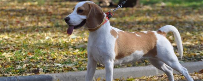 20221123162025_96404 20221123162025_96404