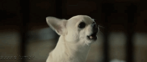 20221123162451_83005