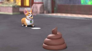 飞狗moco的主人(飞狗moco的主人雅米的照片)-警犬训练器材厂家 _警犬训练用品_工作犬训练用品-南京开久警犬装备