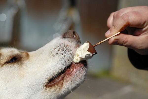 20221123164005_79583