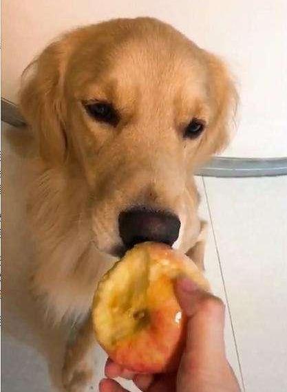 20221123181641_51836