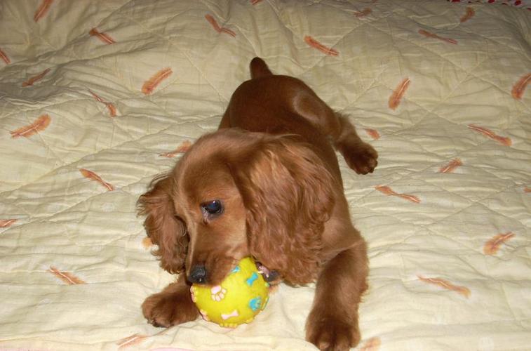 20221123182246_34903 20221123182246_34903