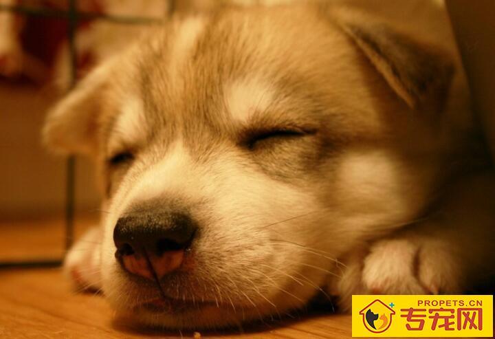 20221123182644_81034 20221123182644_81034