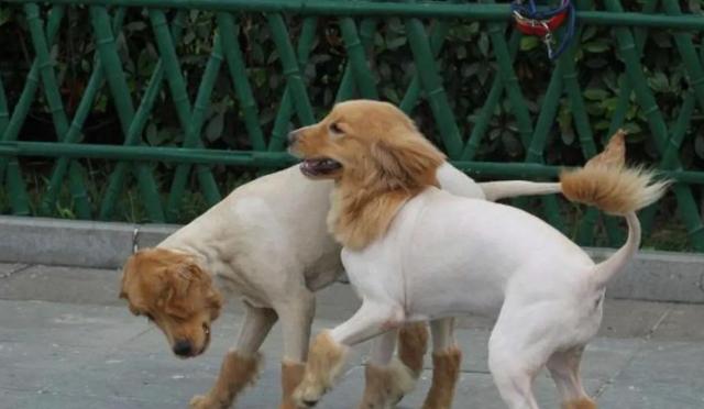 20221123184033_63073