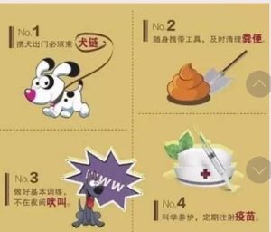 养狗条例(银川市养狗条例)-警犬训练器材厂家 _警犬训练用品_工作犬训练用品-南京开久警犬装备