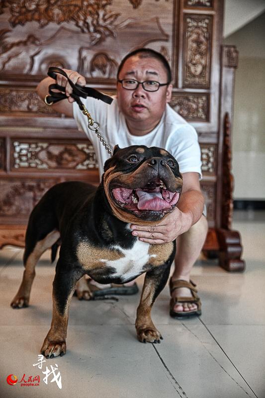 国内十大犬舍(四川十大犬舍) - 警犬训练器材厂家 _警犬训练用品_工作犬训练用品-南京开久警犬装备-警犬训练器材厂家 _警犬训练用品_工作犬训练用品-南京开久警犬装备