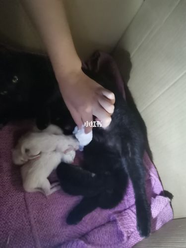 20221123190015_32302