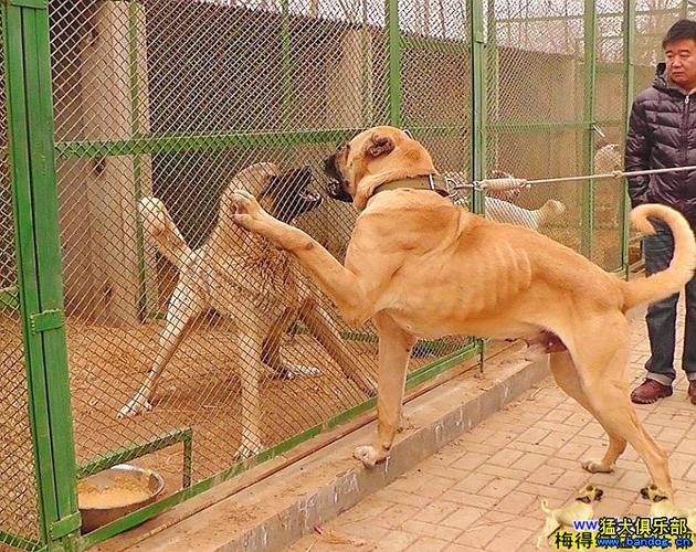 20221123190302_28376 20221123190302_28376